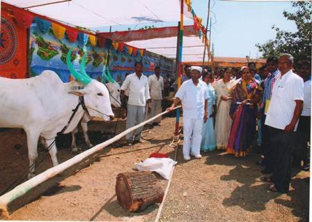 तालुका स्तरीय पशु प्रदर्शन 