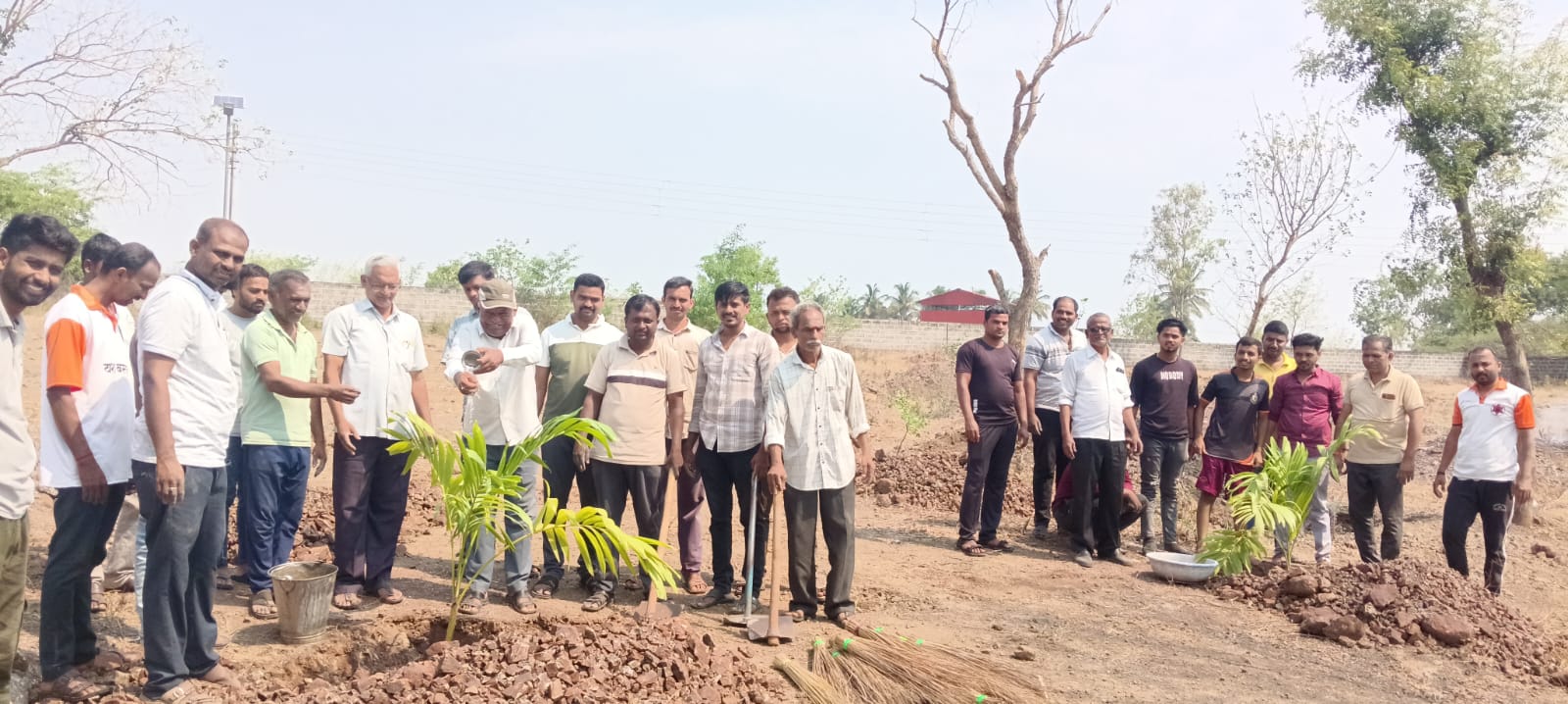 treeplantation2